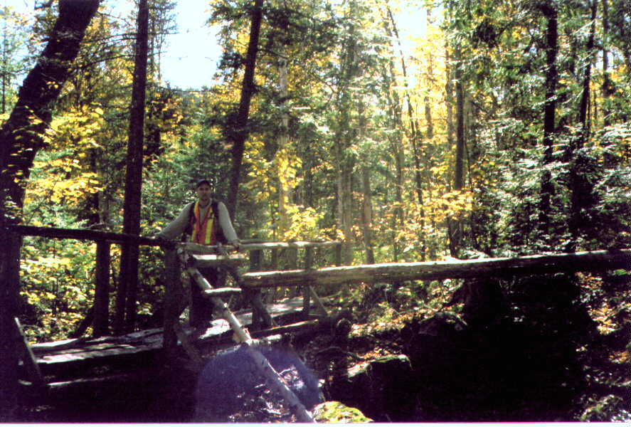 sentier3.jpg